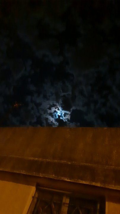 مشاركاتي في أنت الراصد