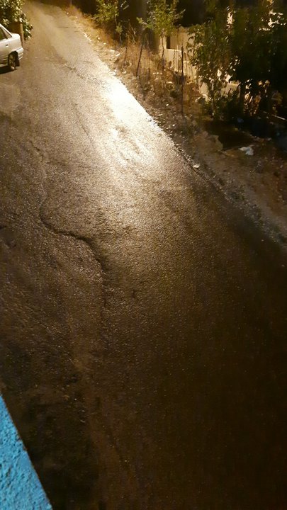 مشاركاتي في أنت الراصد