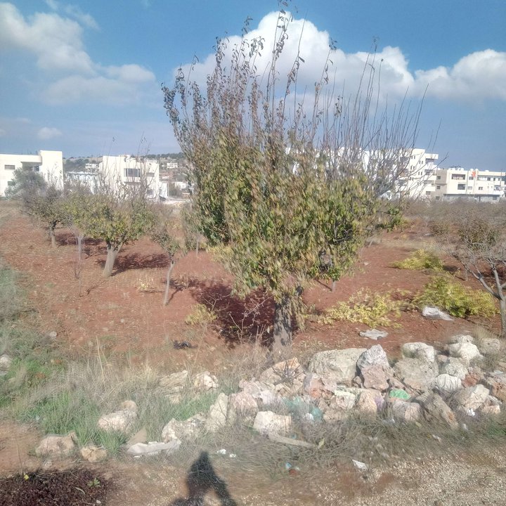 My Crowdsourcing Posts