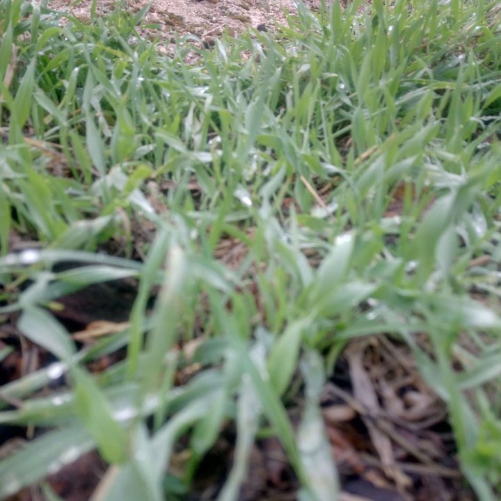 My Crowdsourcing Posts