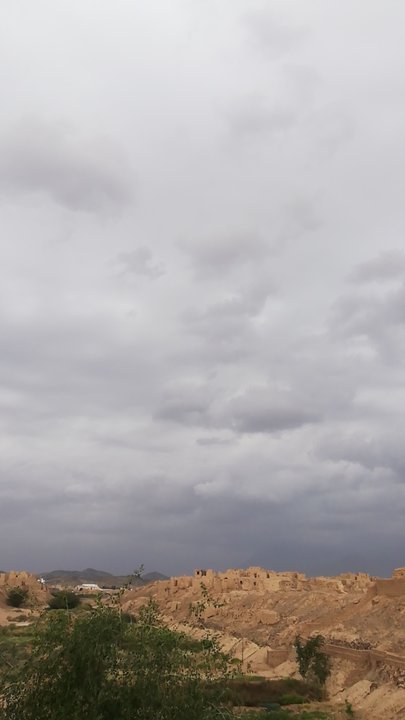 مشاركاتي في أنت الراصد