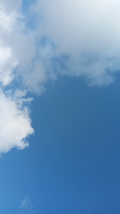 مشاركاتي في أنت الراصد