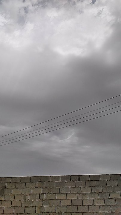 مشاركاتي في أنت الراصد