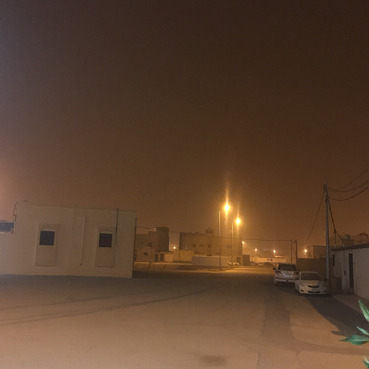 مشاركاتي في أنت الراصد