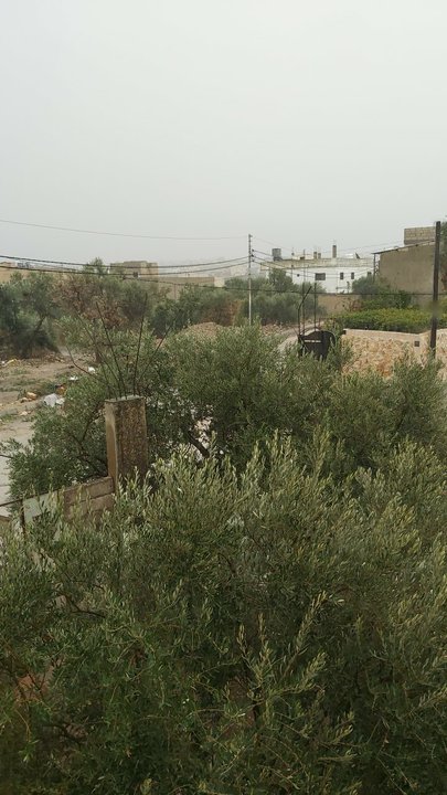 مشاركاتي في أنت الراصد