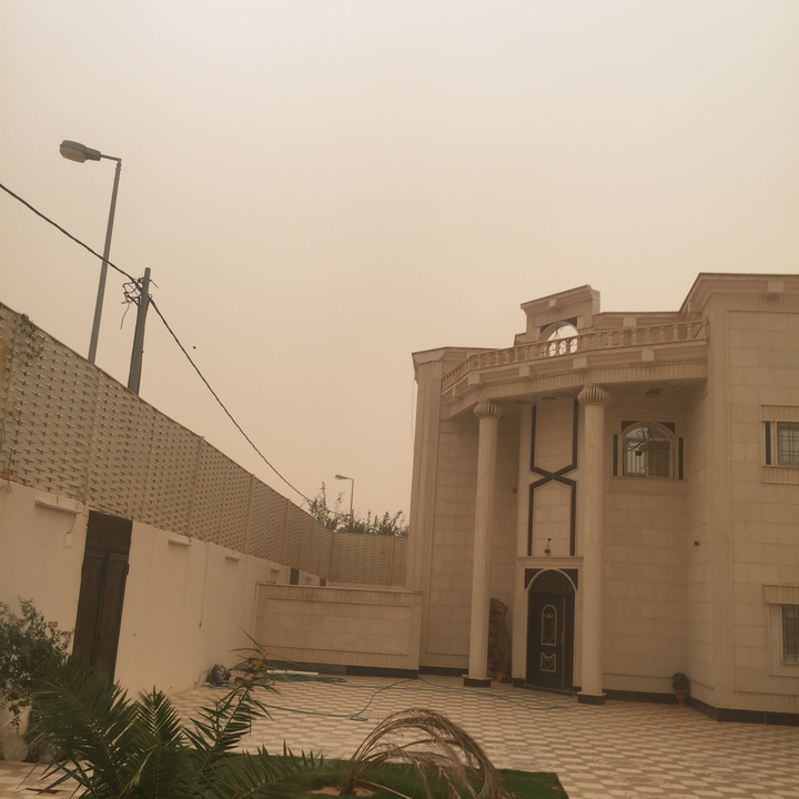 مشاركاتي في أنت الراصد