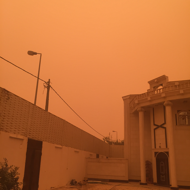 مشاركاتي في أنت الراصد