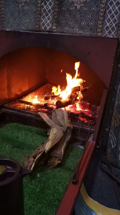 مشاركاتي في أنت الراصد