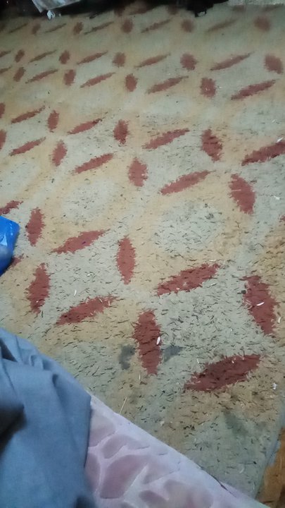 مشاركاتي في أنت الراصد