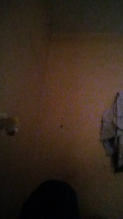 مشاركاتي في أنت الراصد