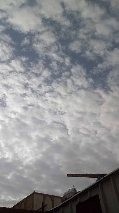 مشاركاتي في أنت الراصد