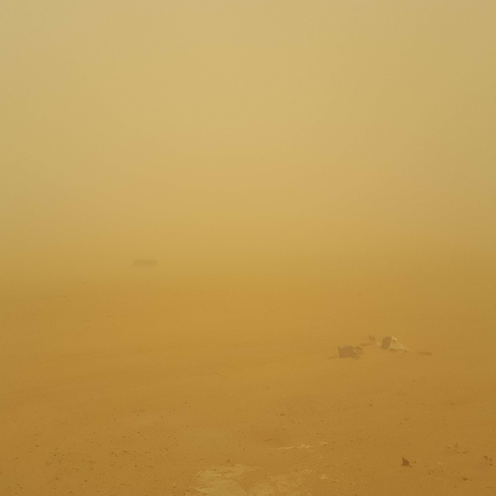 مشاركاتي في أنت الراصد