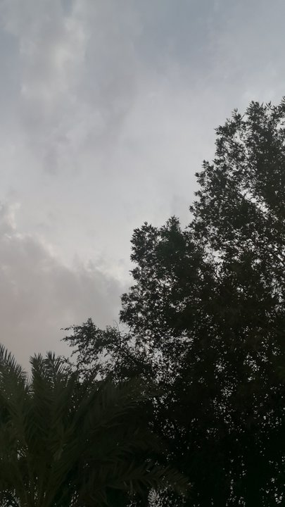 مشاركاتي في أنت الراصد