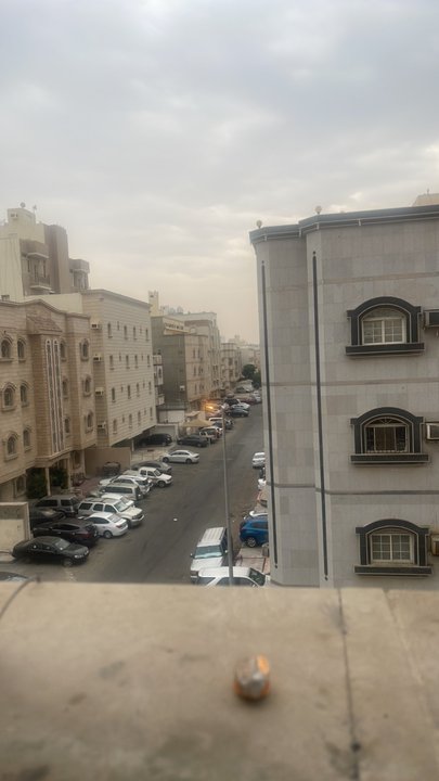 مشاركاتي في أنت الراصد