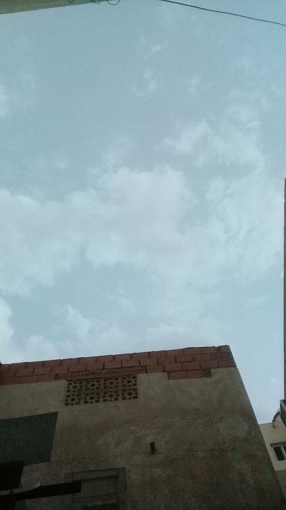 مشاركاتي في أنت الراصد