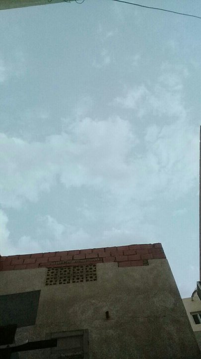 مشاركاتي في أنت الراصد