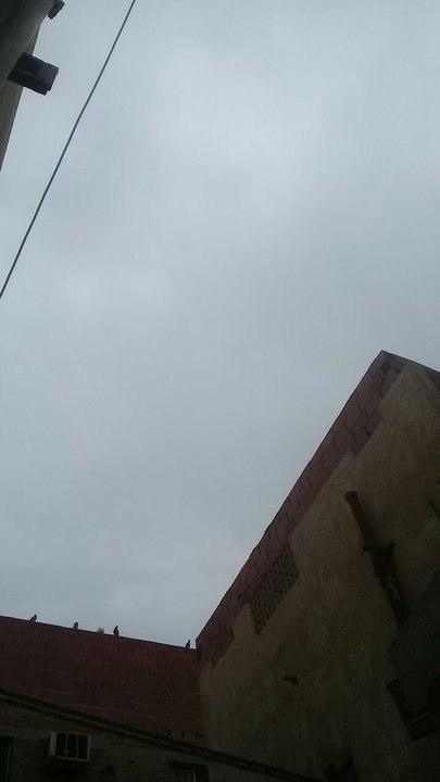 مشاركاتي في أنت الراصد