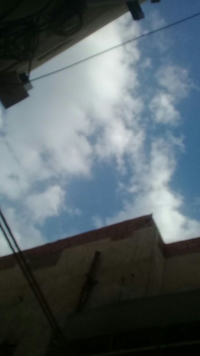 مشاركاتي في أنت الراصد