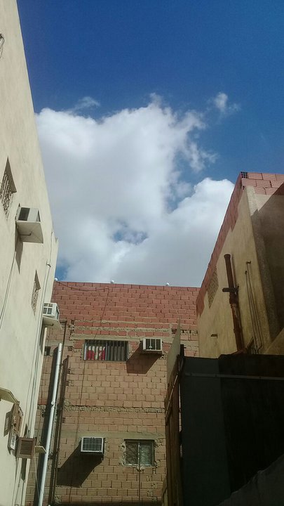 مشاركاتي في أنت الراصد