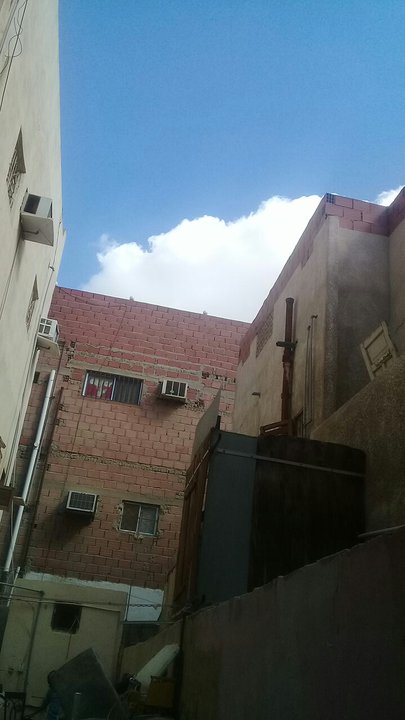 مشاركاتي في أنت الراصد