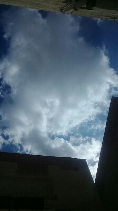 مشاركاتي في أنت الراصد