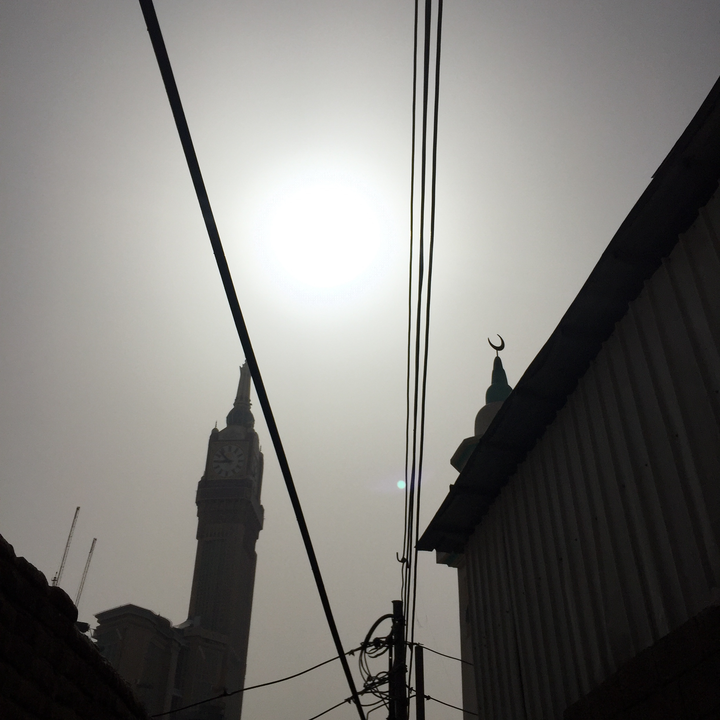 مشاركاتي في أنت الراصد