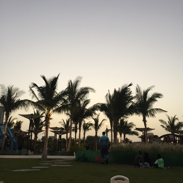 مشاركاتي في أنت الراصد