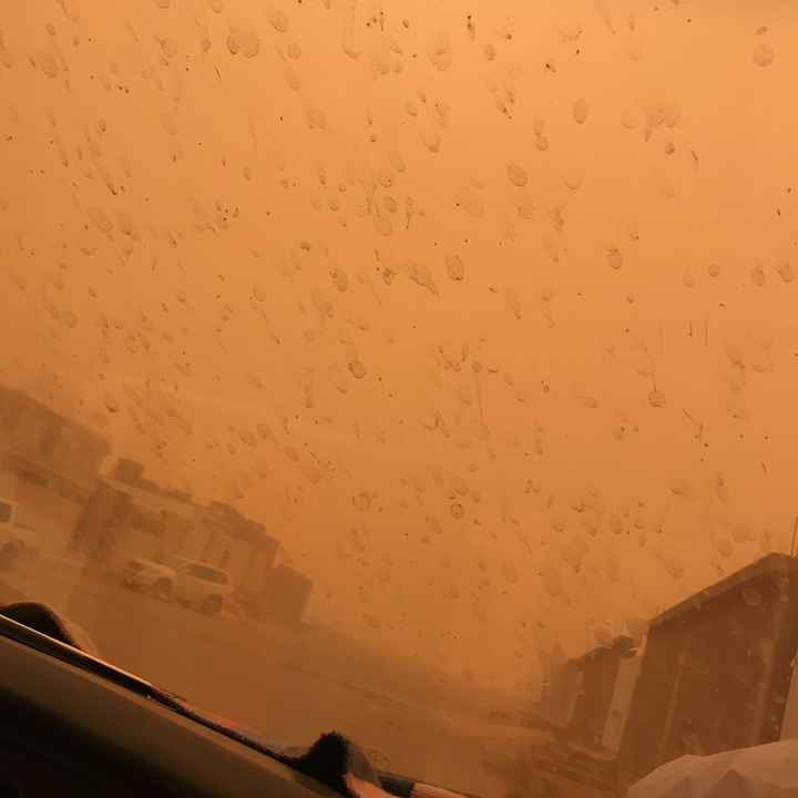 مشاركاتي في أنت الراصد