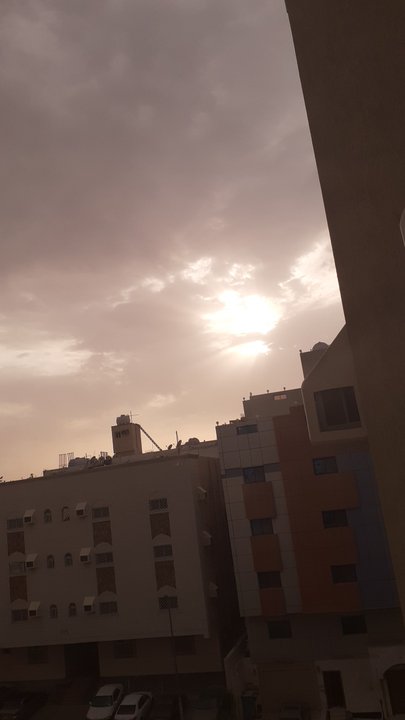 مشاركاتي في أنت الراصد