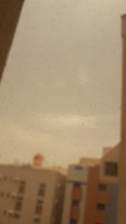 مشاركاتي في أنت الراصد