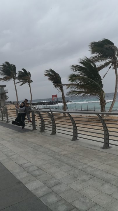 مشاركاتي في أنت الراصد