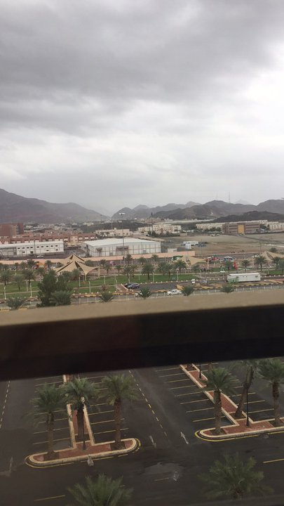 مشاركاتي في أنت الراصد