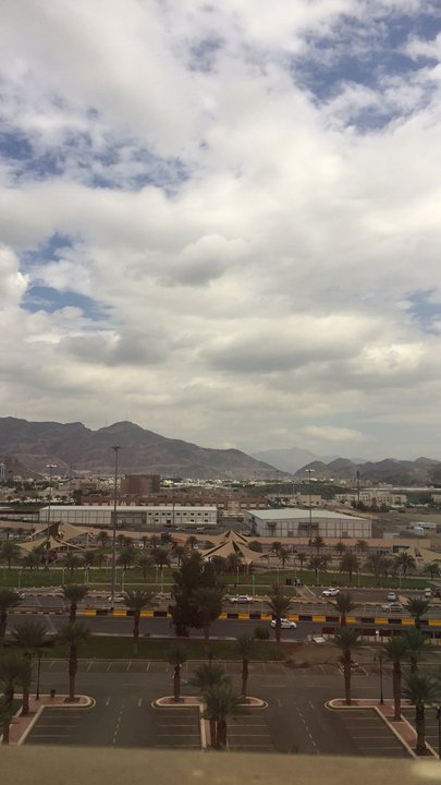 مشاركاتي في أنت الراصد