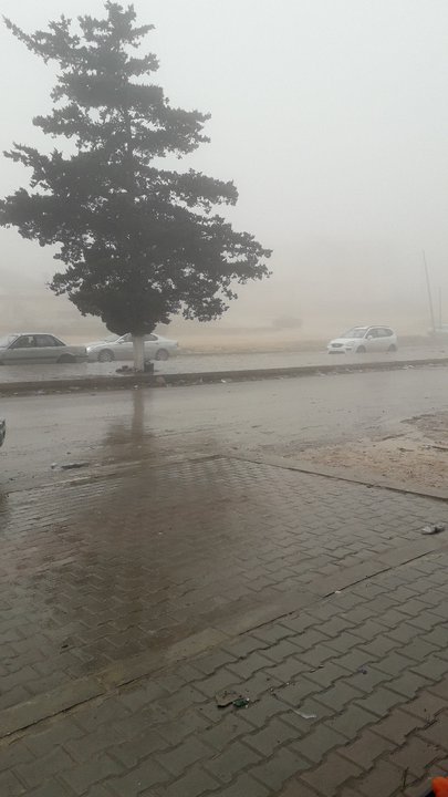 مشاركاتي في أنت الراصد