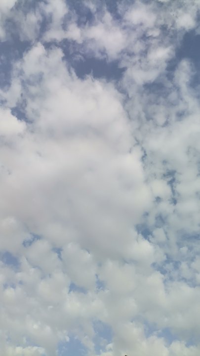 مشاركاتي في أنت الراصد