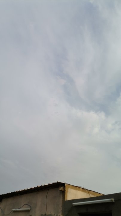 مشاركاتي في أنت الراصد