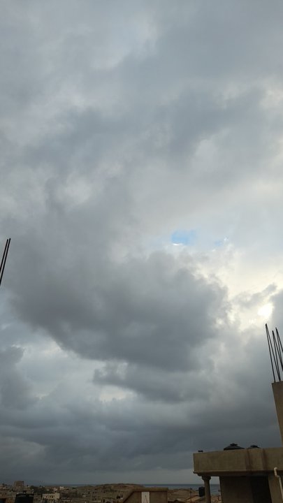 مشاركاتي في أنت الراصد