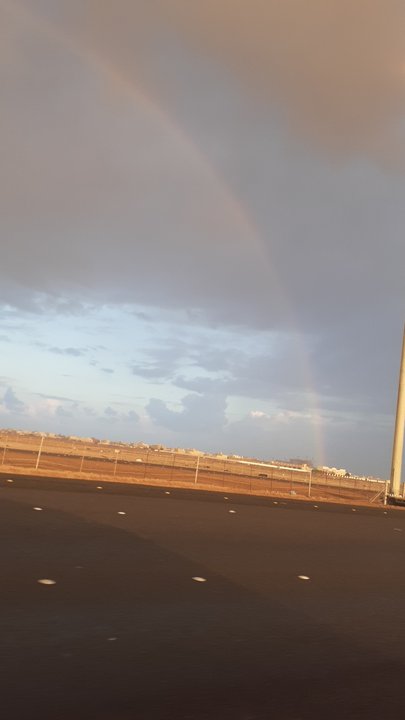 مشاركاتي في أنت الراصد