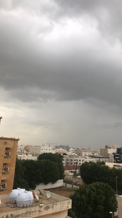 مشاركاتي في أنت الراصد