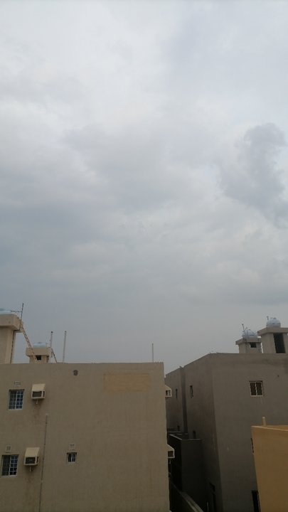 مشاركاتي في أنت الراصد