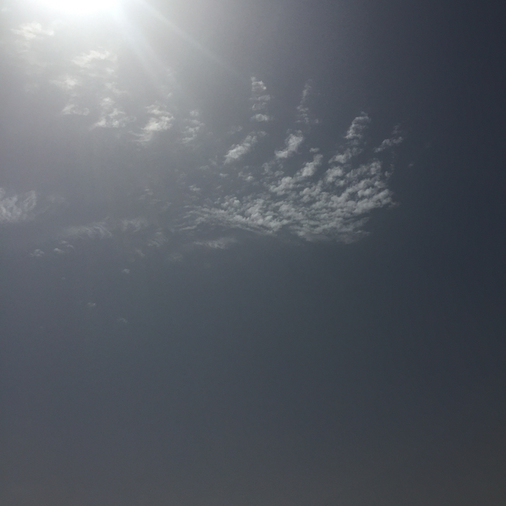 مشاركاتي في أنت الراصد