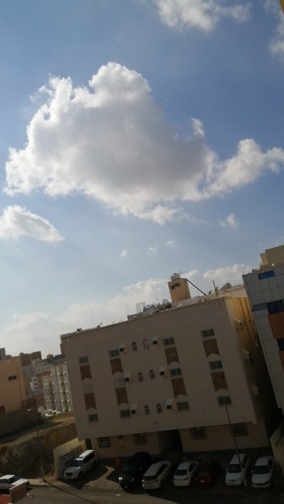 مشاركاتي في أنت الراصد