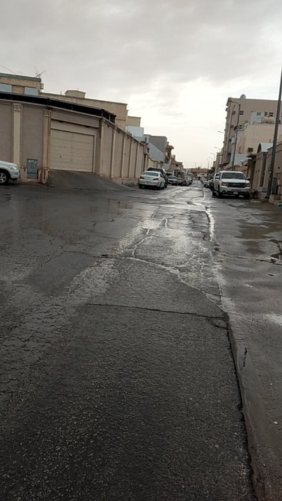 مشاركاتي في أنت الراصد