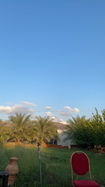 مشاركاتي في أنت الراصد