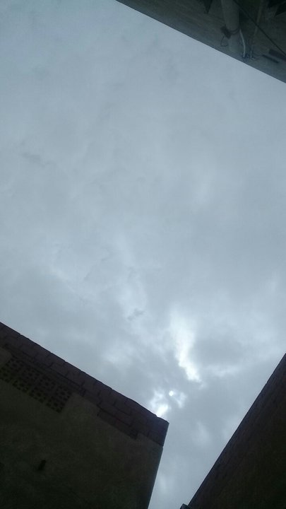 مشاركاتي في أنت الراصد