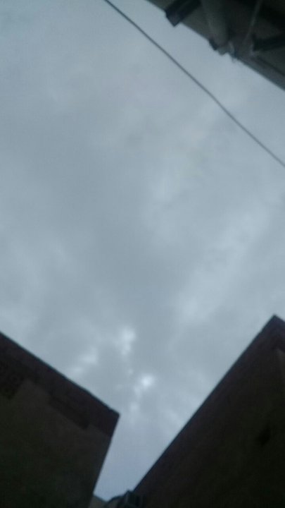 مشاركاتي في أنت الراصد