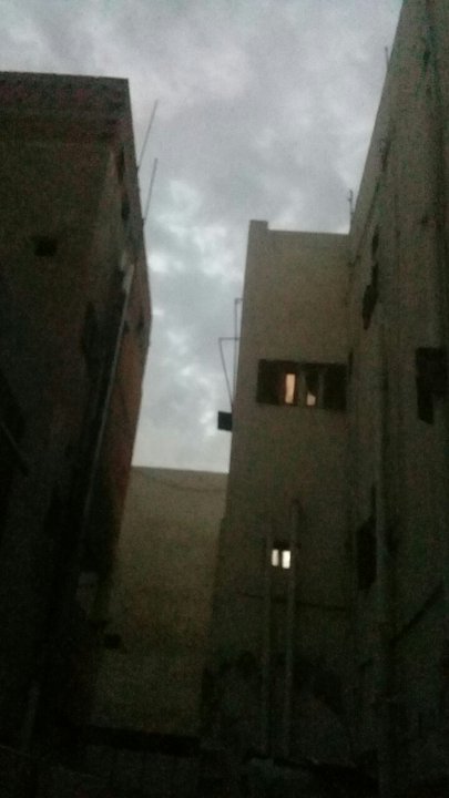 مشاركاتي في أنت الراصد