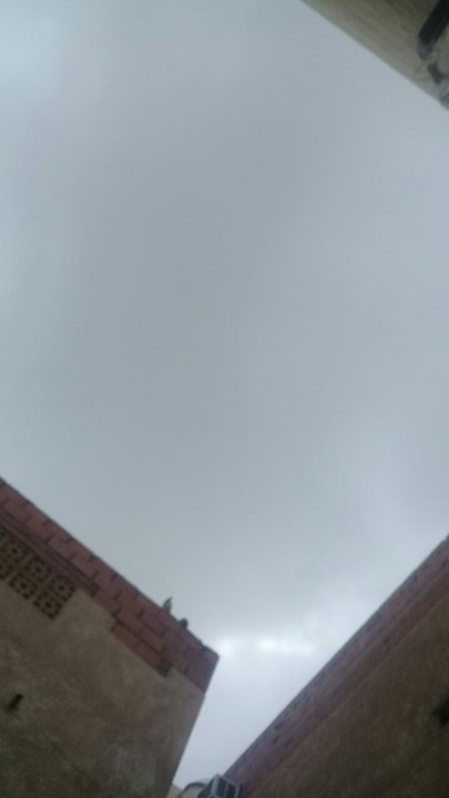 مشاركاتي في أنت الراصد