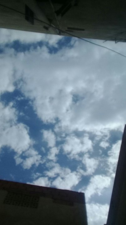 مشاركاتي في أنت الراصد