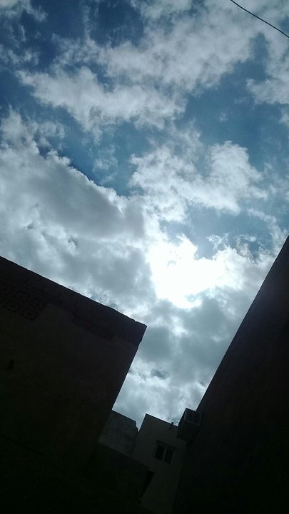 مشاركاتي في أنت الراصد